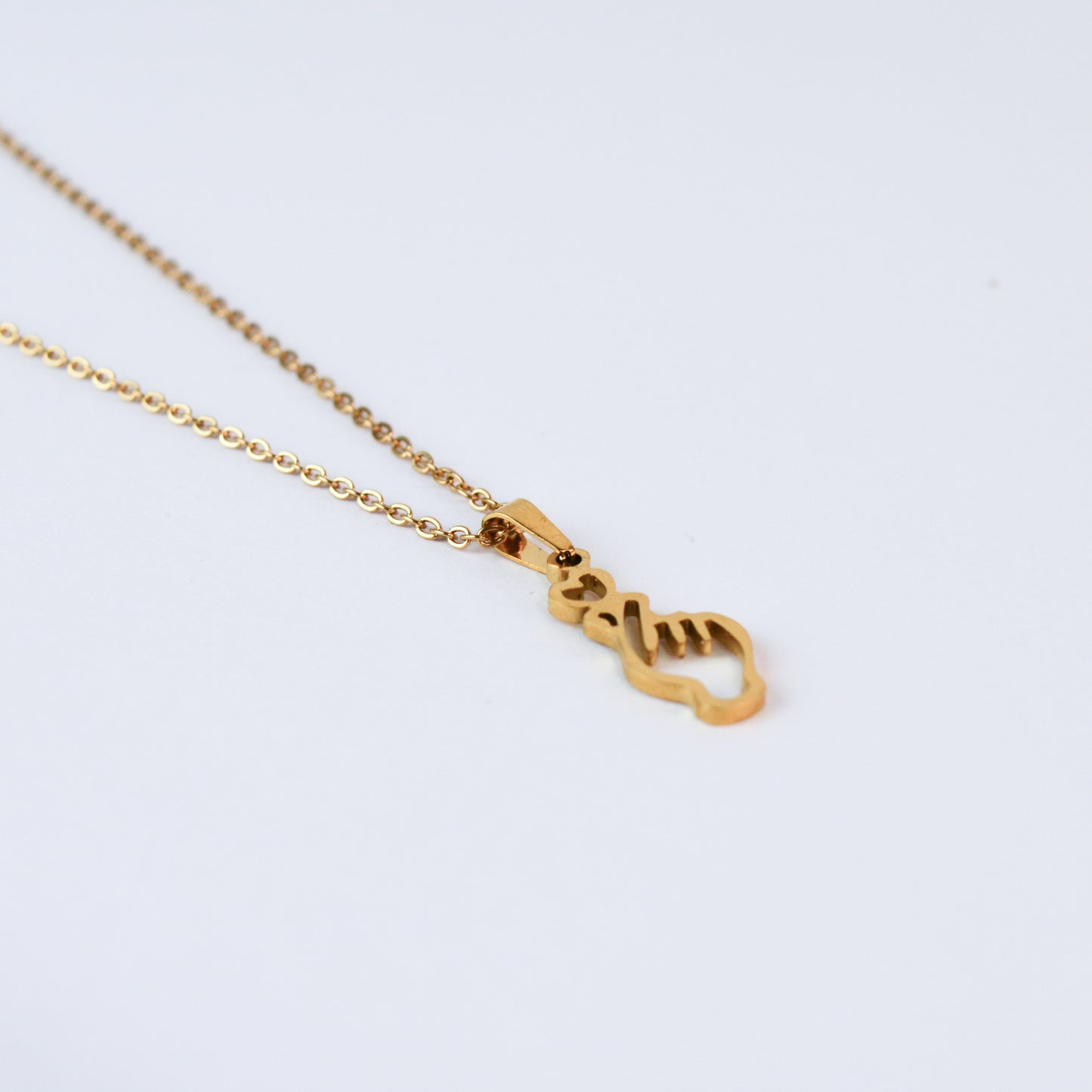 Collar Dije Signo Amor